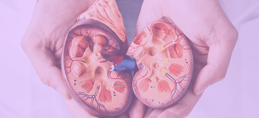 Learn how to access affordable, high-quality generic Tolvaptan for ADPKD in 2025. Compare costs, safety, and legal import options via MedsPartner.