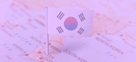 How to import medicines for personal use in South Korea- Comprehensive guide